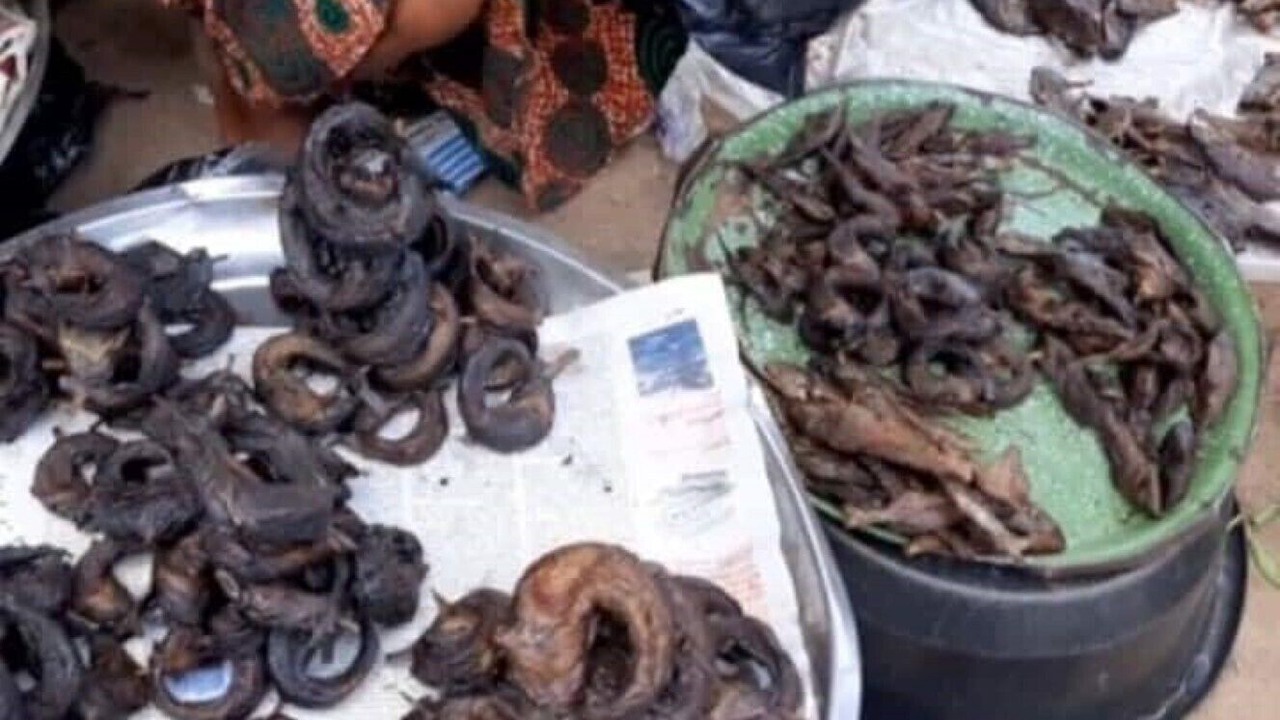 Photo of Others in Epe