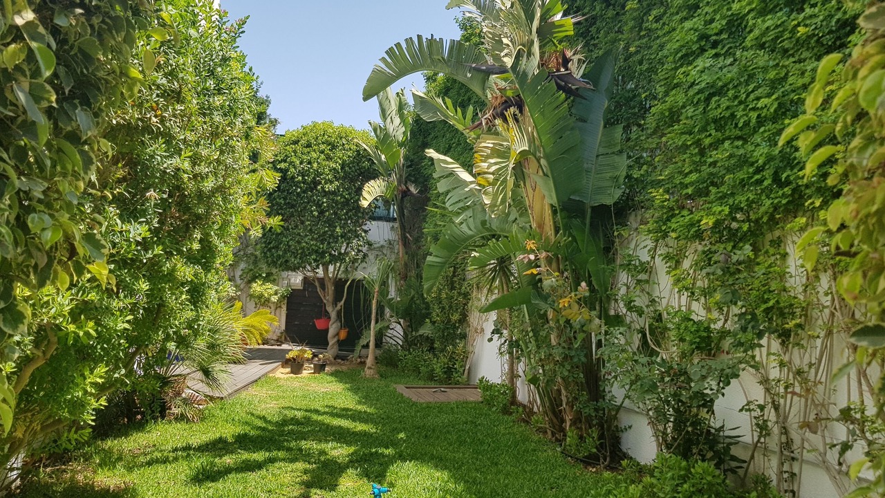 Photo of Outdoor in Amilcar