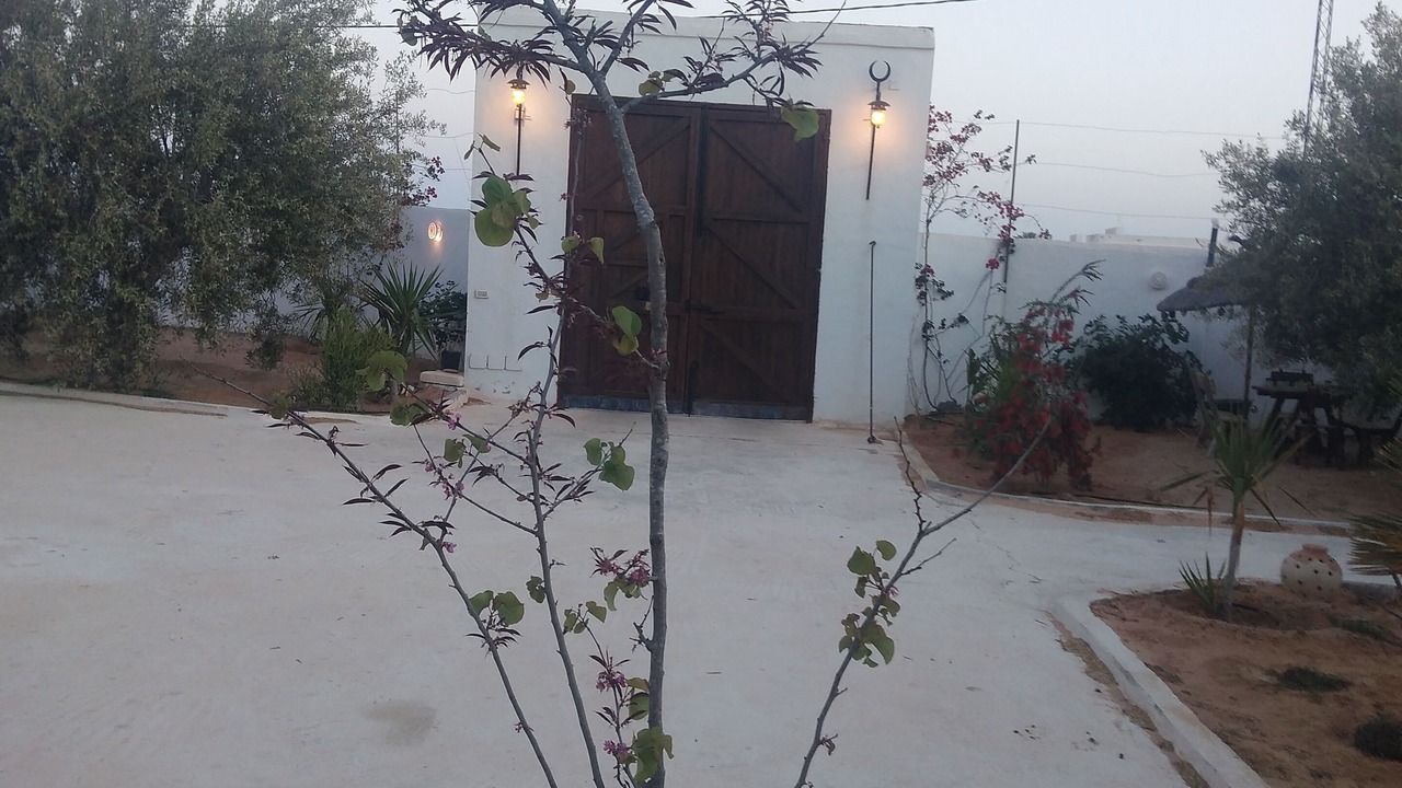 Photo of Outdoor in Djerba Midun