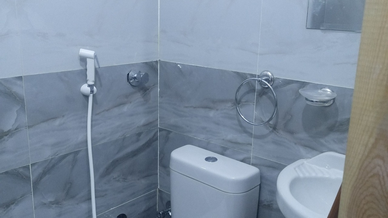 Photo of Bathroom in Aswan