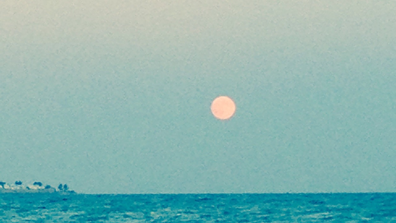 Photo of Others in Hammamet Sud