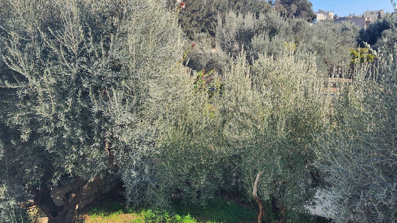 Photo of Outdoor in Hammamet Sud
