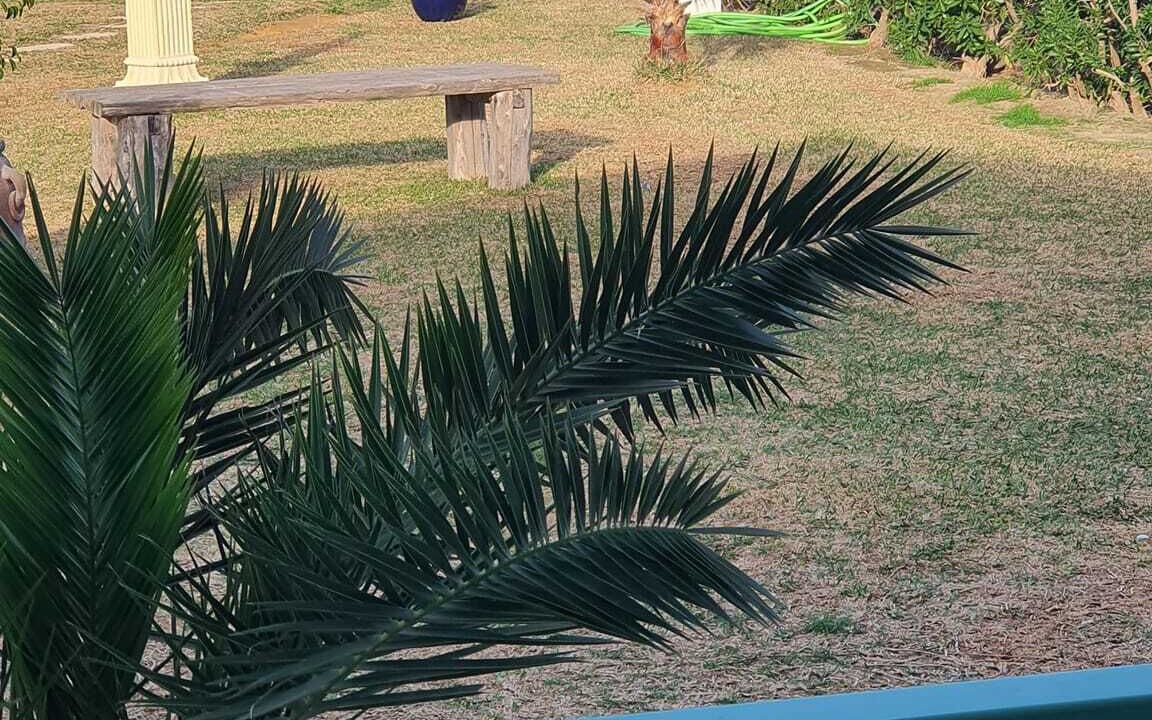 Photo of Outdoor in El Maamoura
