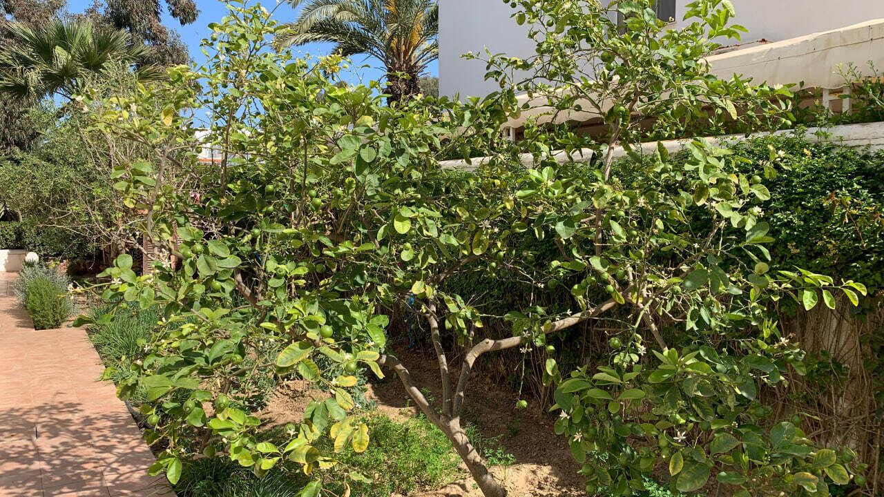 Photo of Outdoor in Korba