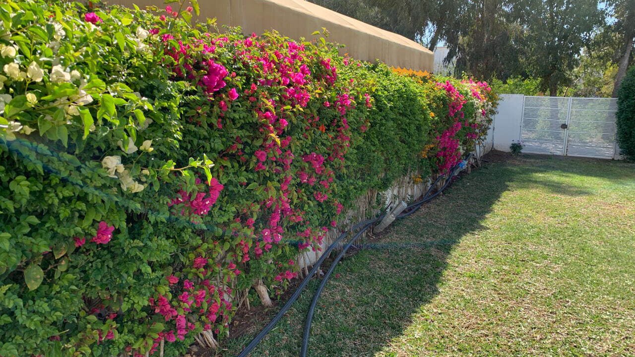 Photo of Outdoor in Korba