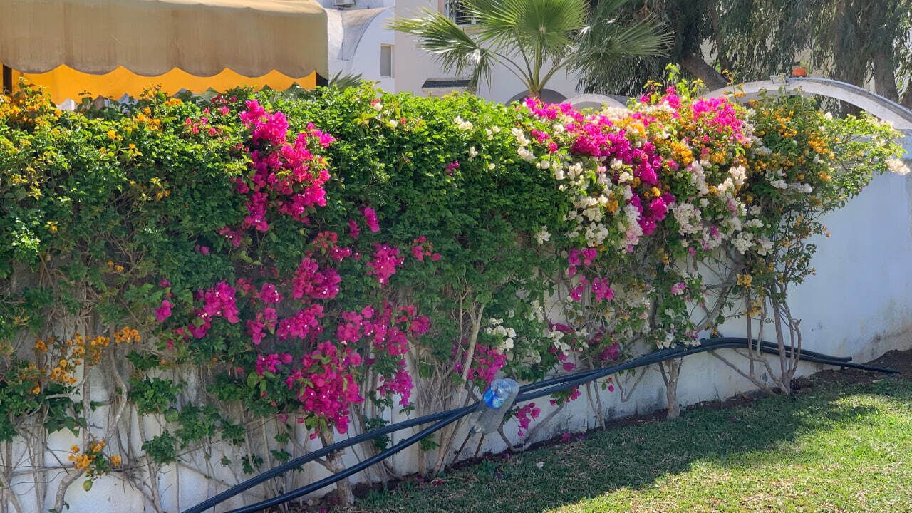 Photo of Outdoor in Korba
