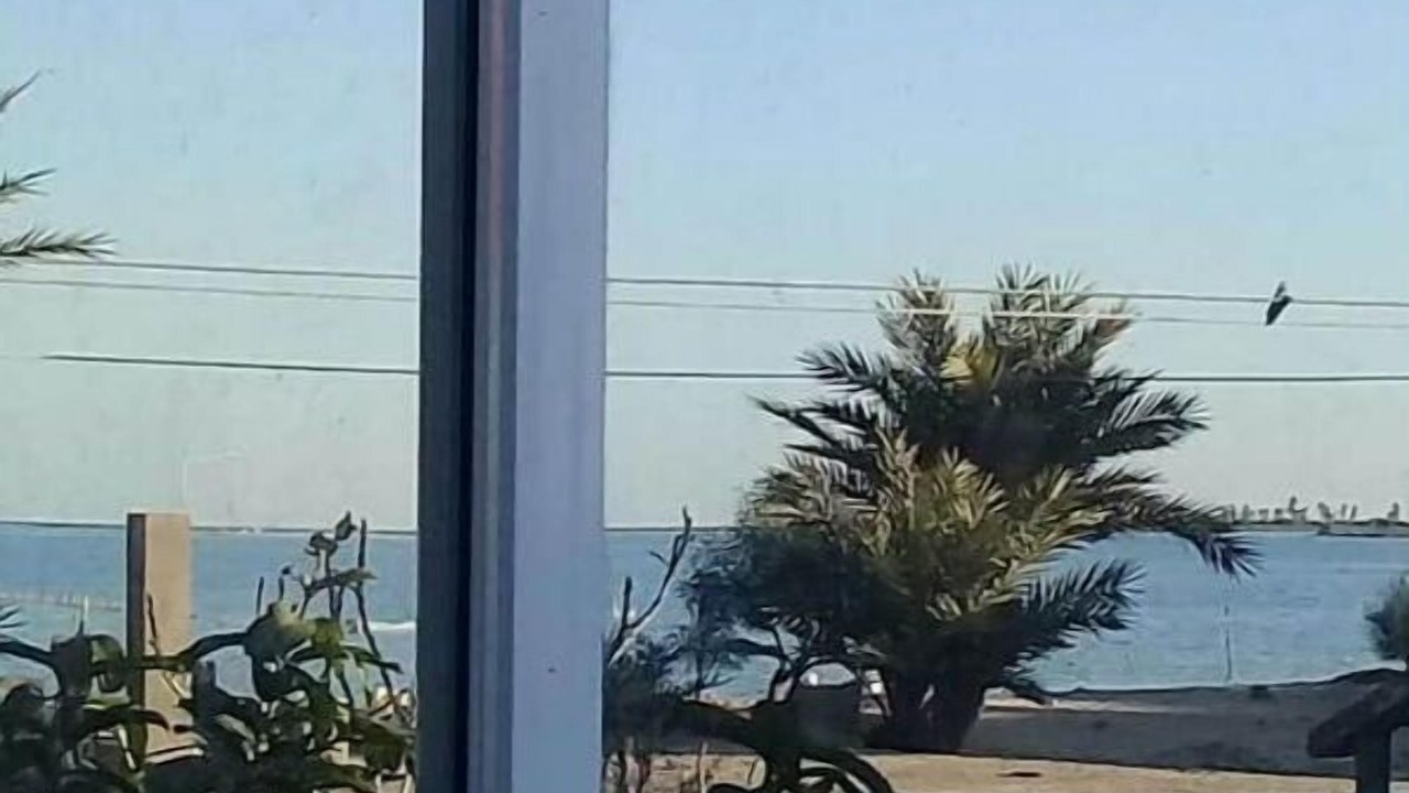 Photo of Others in Remla