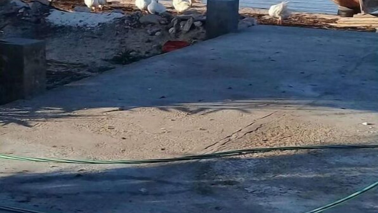 Photo of Outdoor in Remla