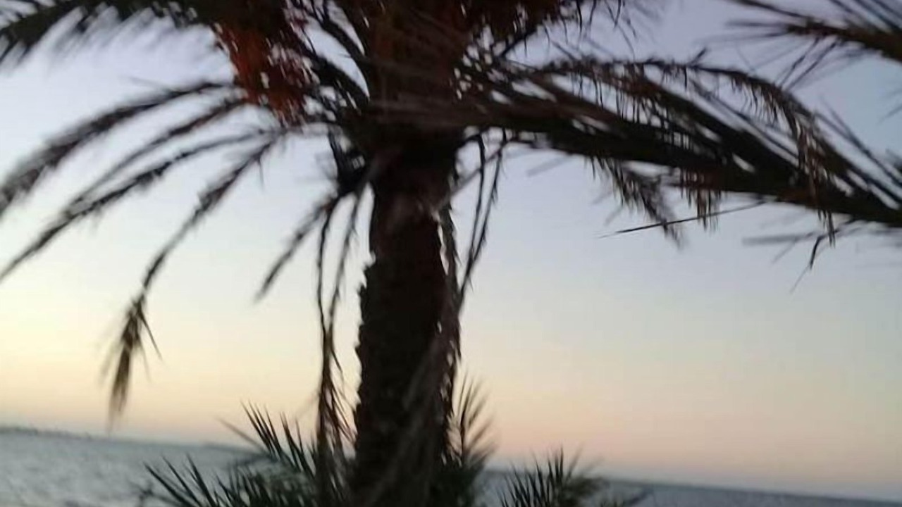 Photo of Outdoor in Remla