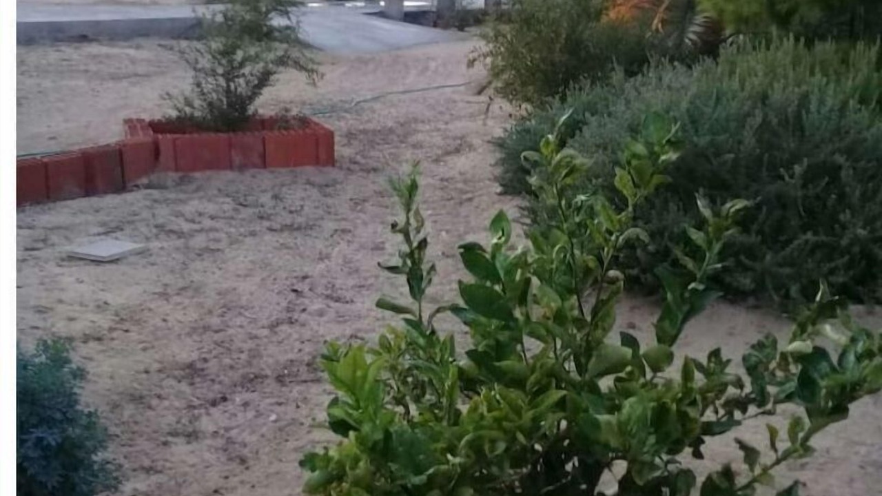 Photo of Outdoor in Remla