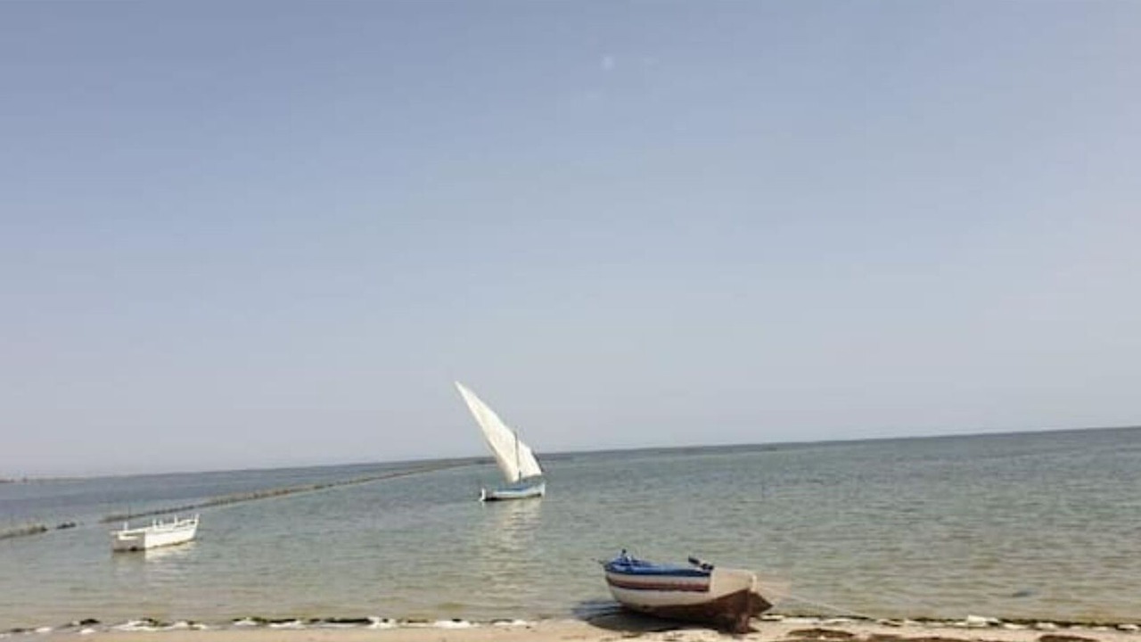 Photo of Others in Remla