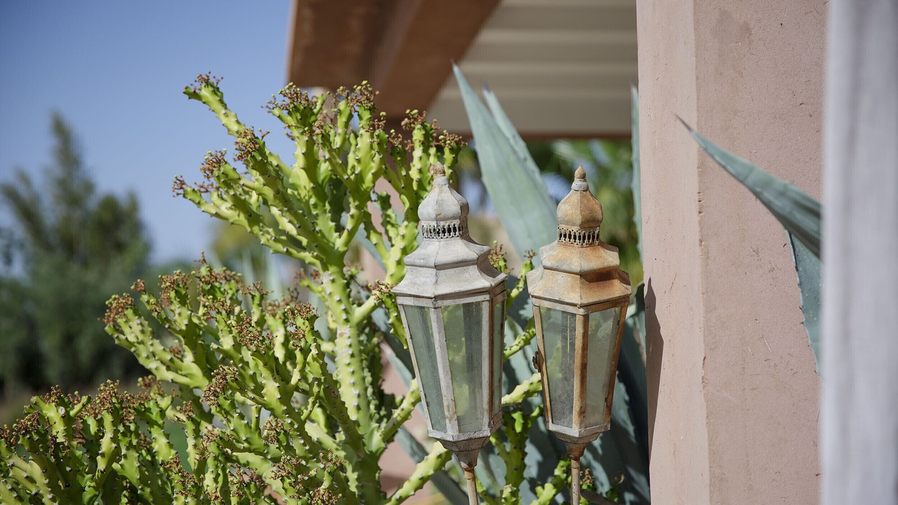 Photo of Outdoor in El Aggada
