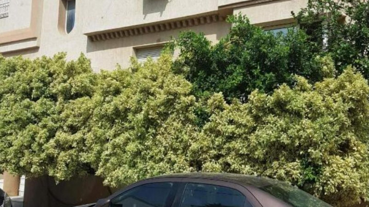 Photo of Outdoor in Ain Zaghouan