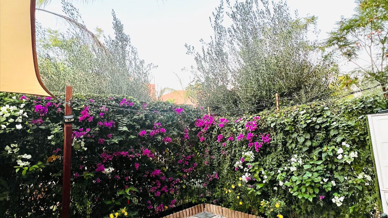 Photo of Outdoor in Tassoultante