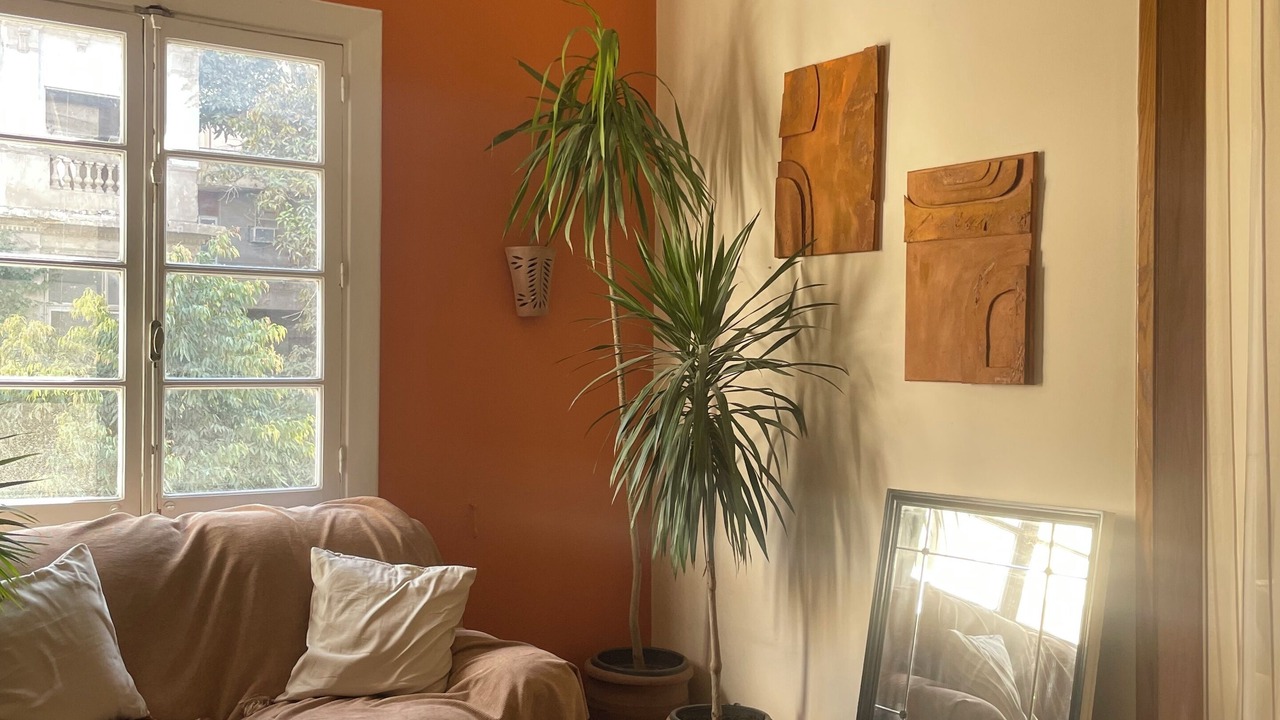 Photo of Livingroom in Garden City