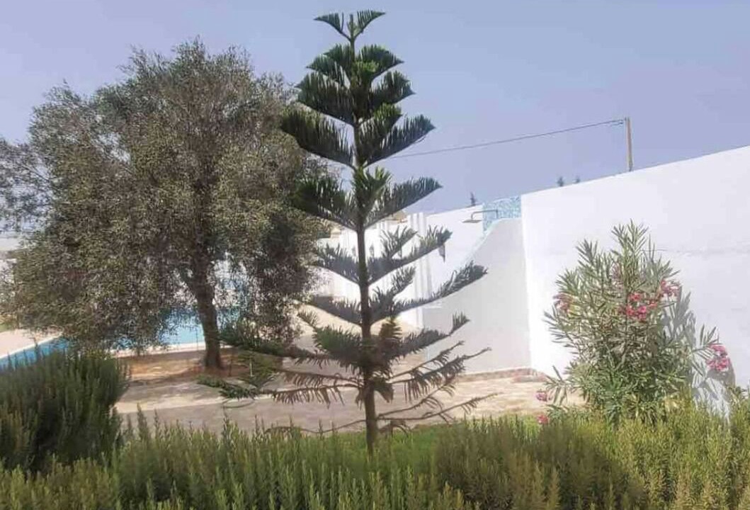Photo of Outdoor in Djerba Midun