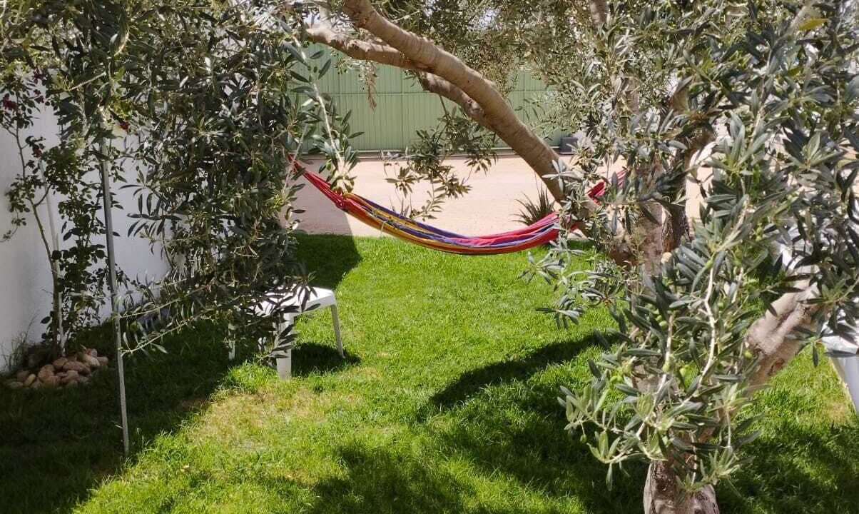 Photo of Outdoor in Mezraia