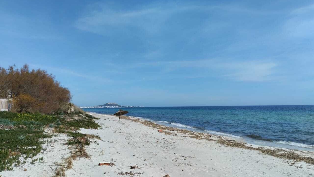 Photo of Others in Kelibia