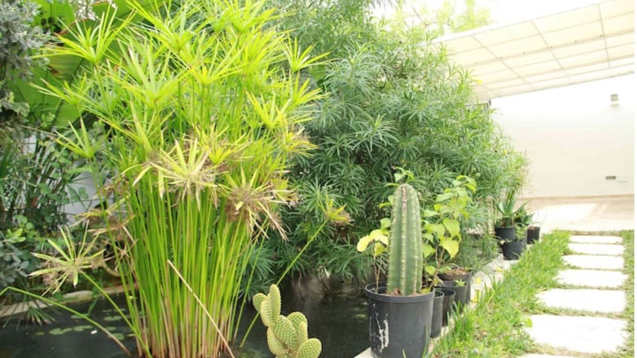 Photo of Outdoor in Cite Jardins