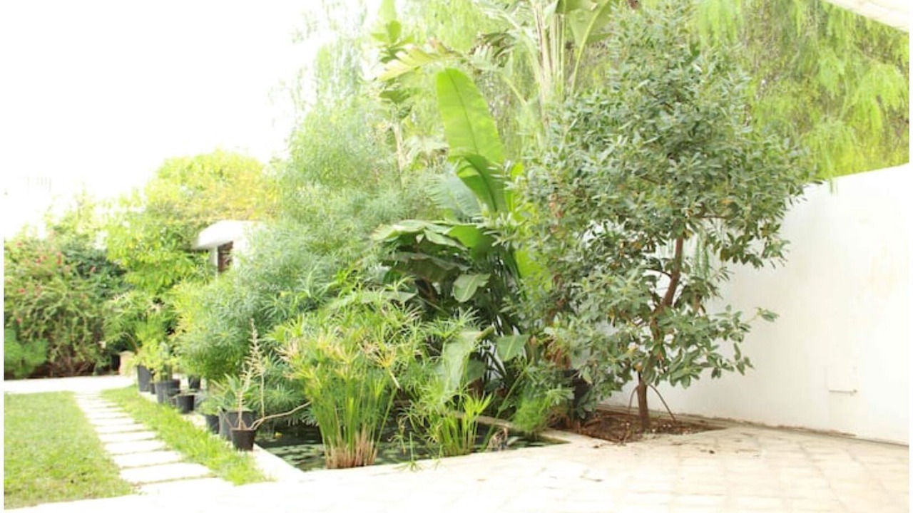 Photo of Outdoor in Cite Jardins