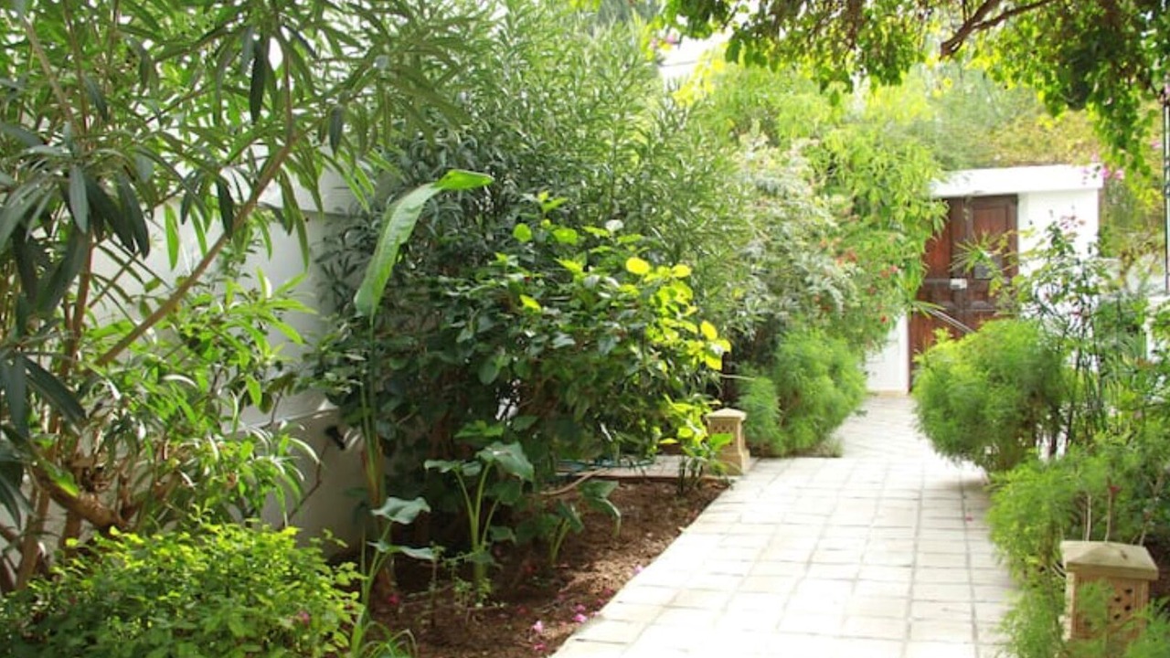 Photo of Outdoor in Cite Jardins