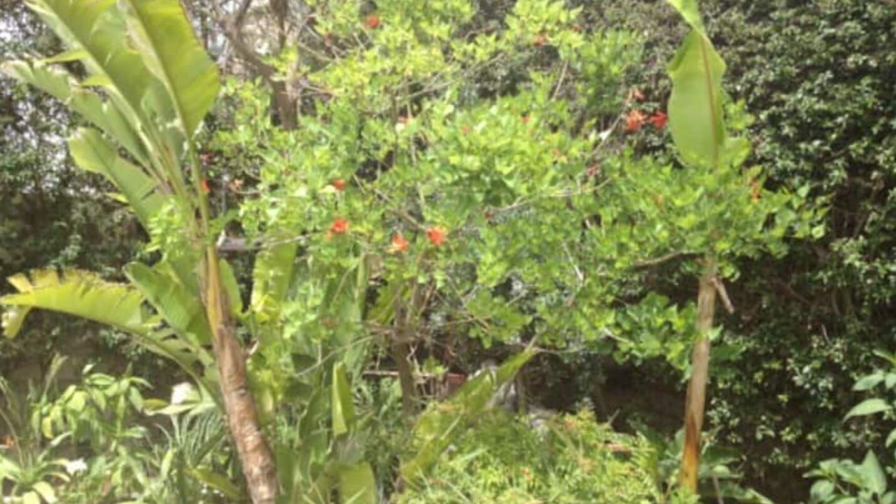 Photo of Outdoor in Cite Jardins