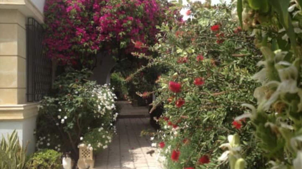 Photo of Outdoor in Cite Jardins