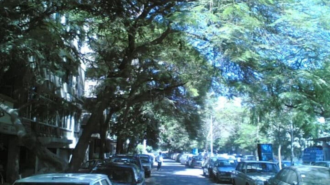 Photo of Others in Agouza
