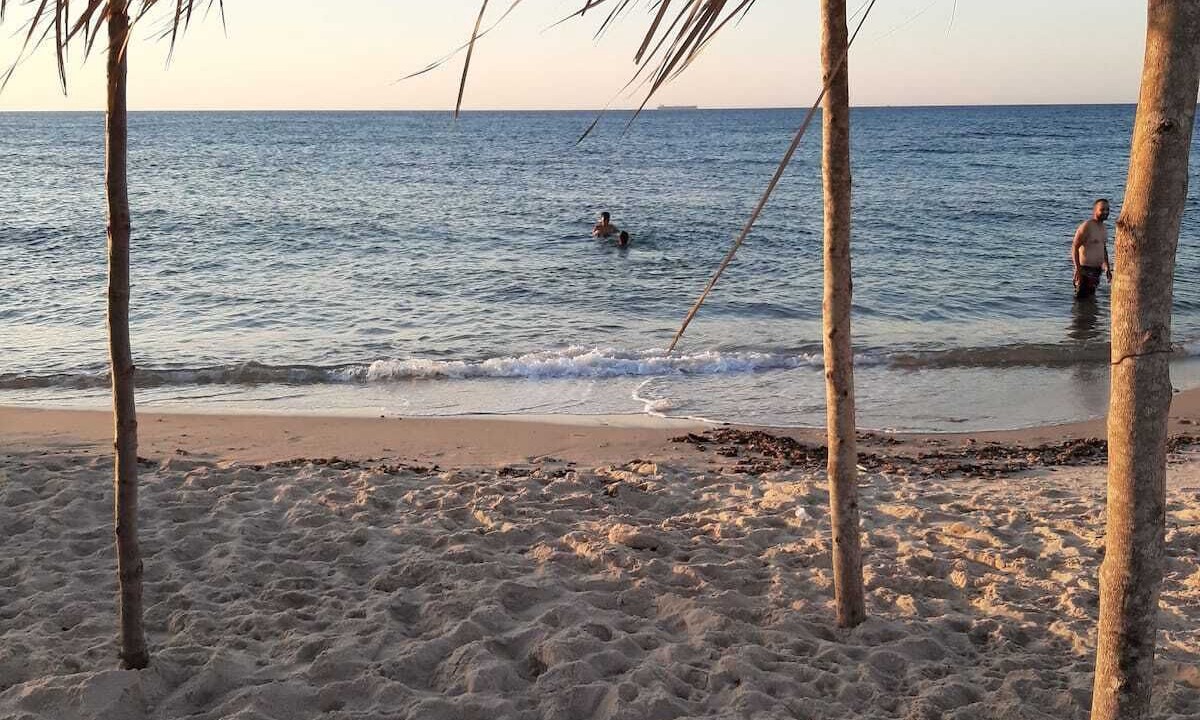 Photo of Others in Aousja