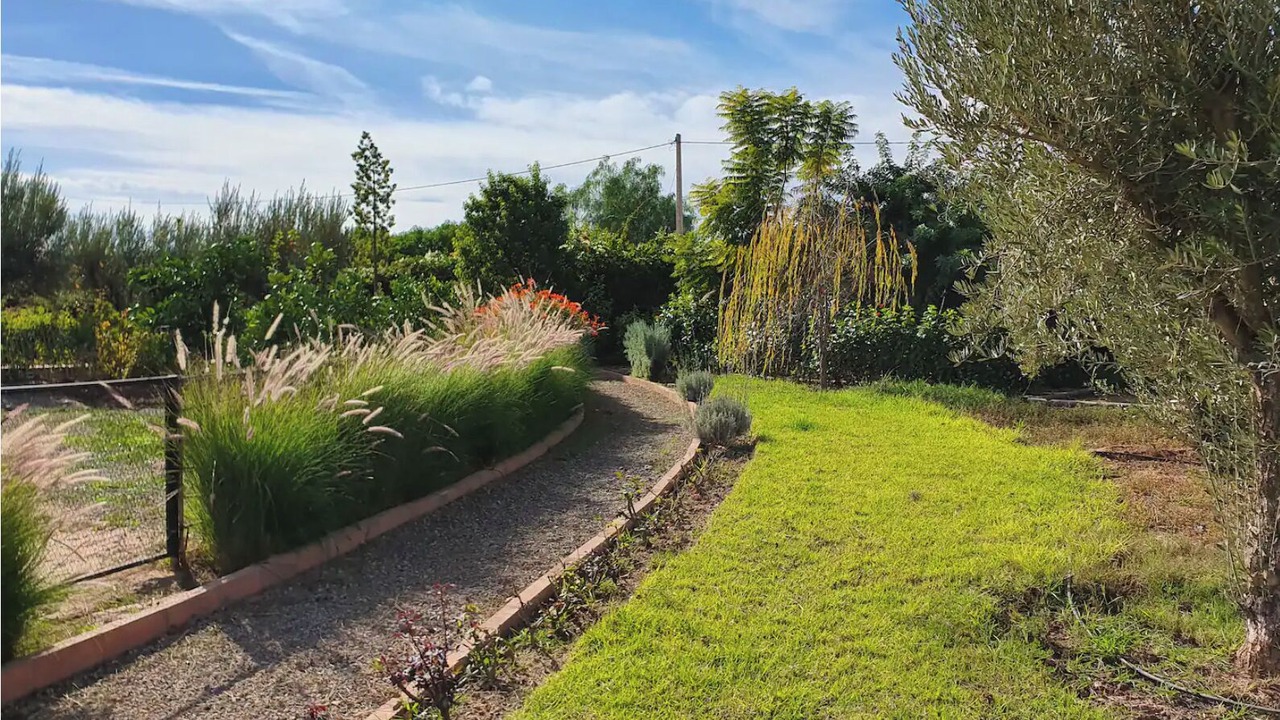 Photo of Outdoor in Zaouia Sidi Rhalem