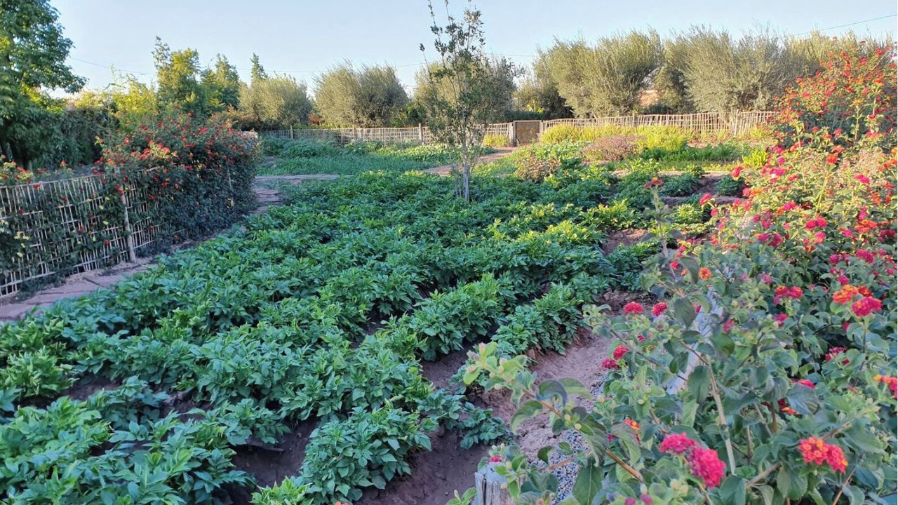 Photo of Outdoor in Zaouia Sidi Rhalem
