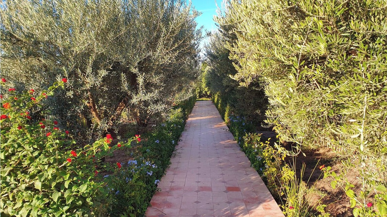 Photo of Outdoor in Zaouia Sidi Rhalem