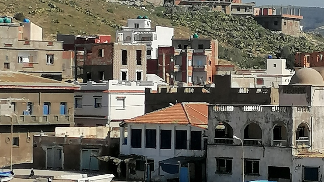Photo of Others in Ain Temouchent Province