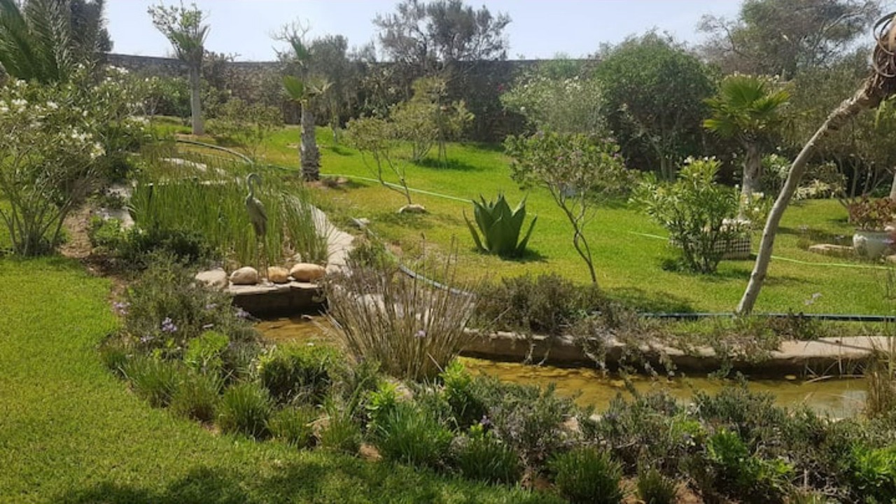 Photo of Outdoor in Essaouira