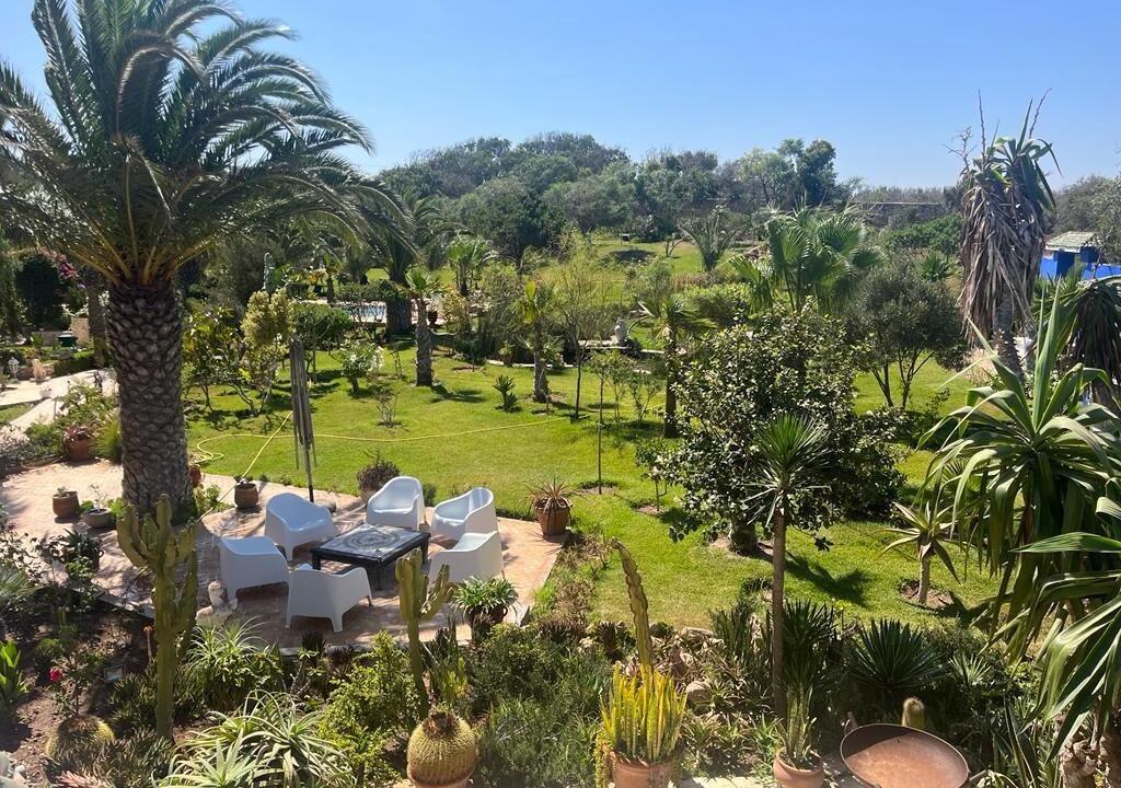 Photo of Outdoor in Essaouira