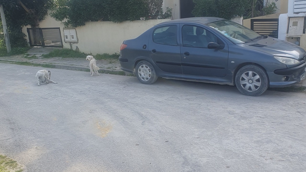 Photo of Outdoor in Raoued plage