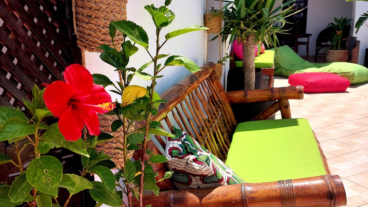 Photo of Patio Balcony in Sidi Salem