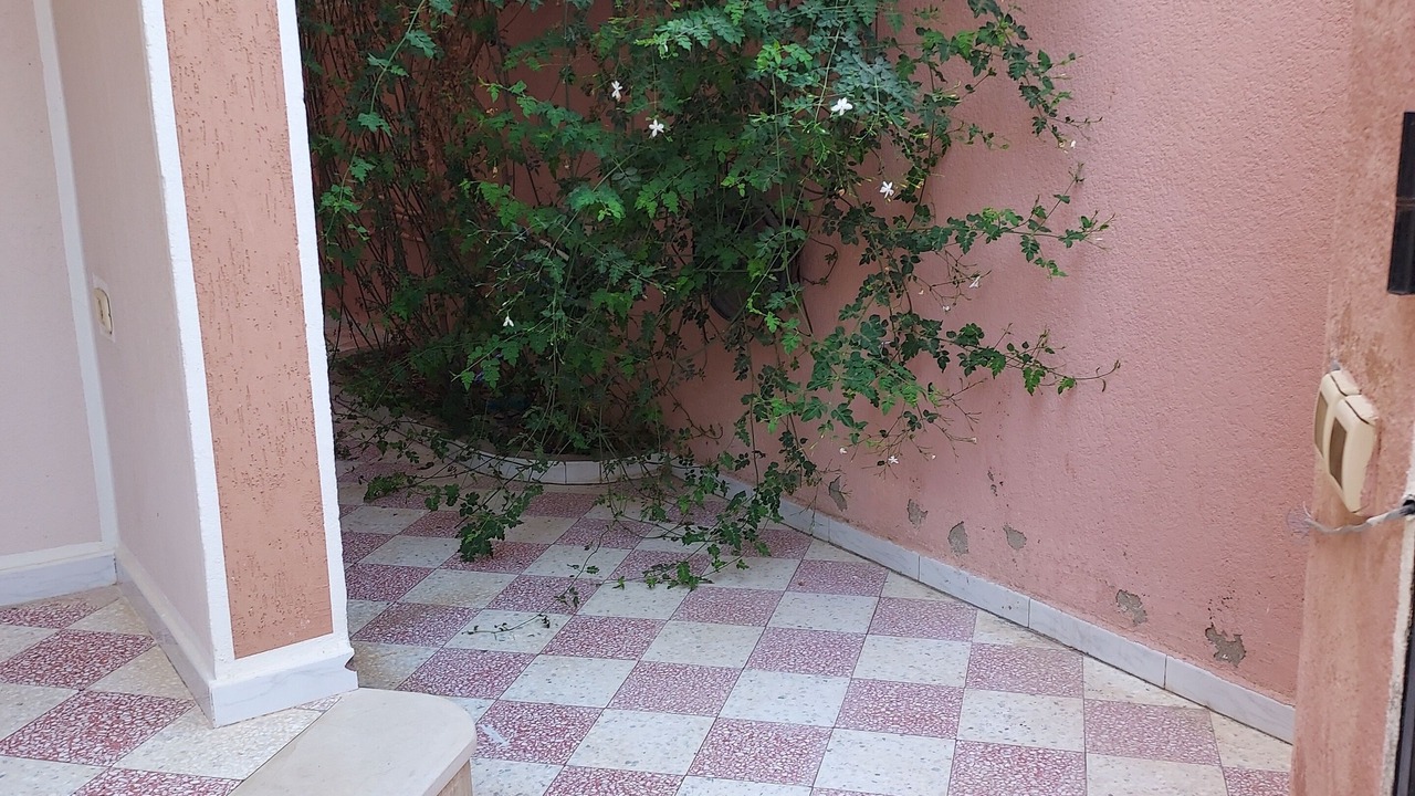 Photo of Outdoor in Zaouia Ksibet Thrayet