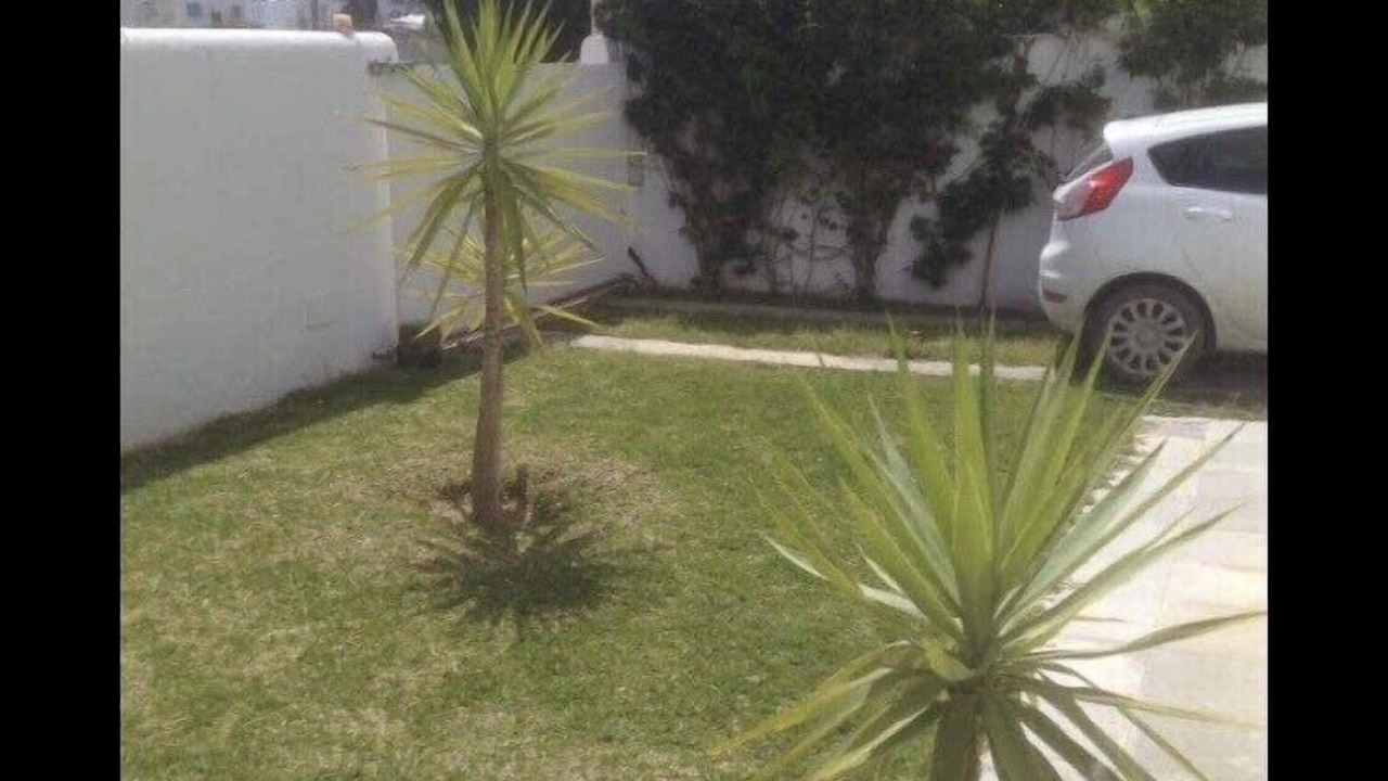 Photo of Outdoor in Yasmine