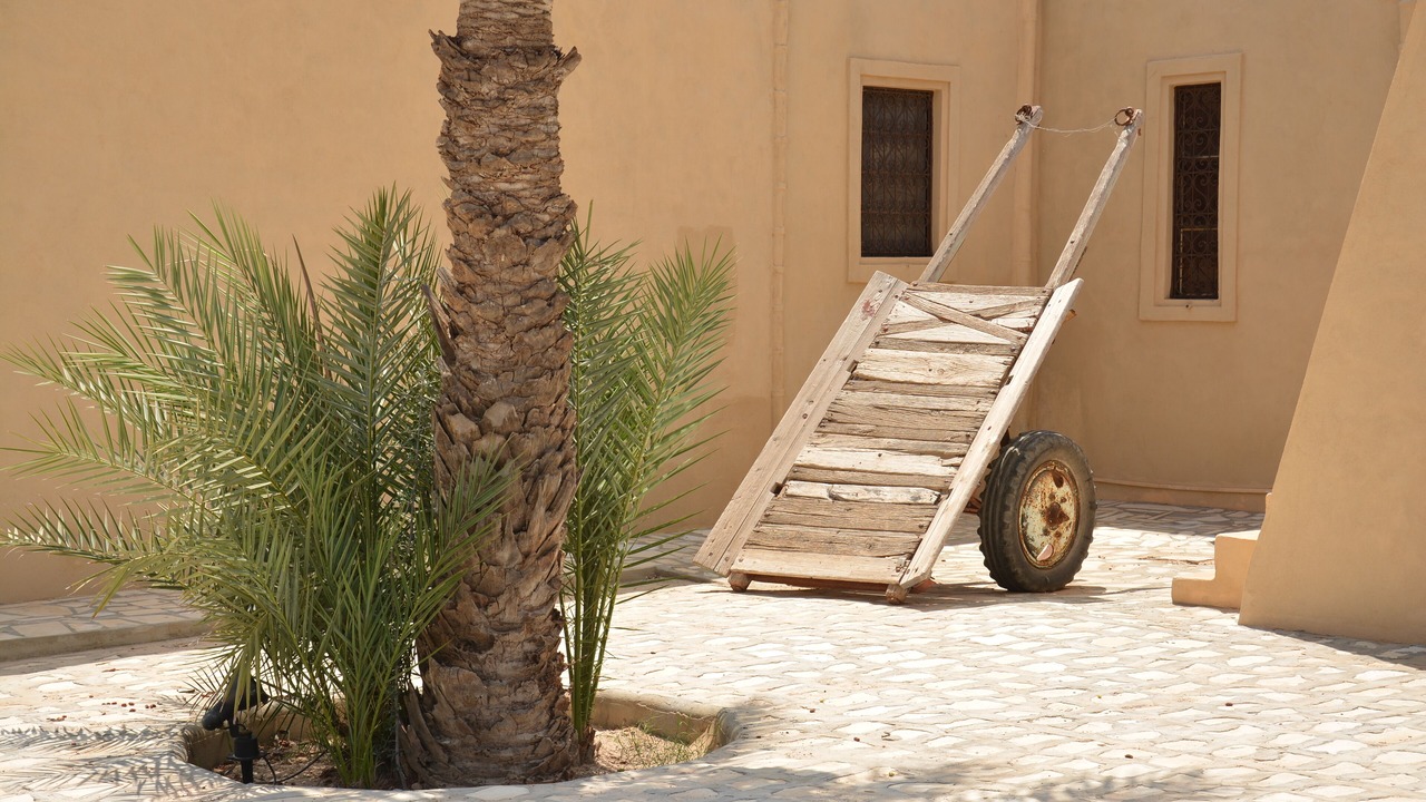Photo of Outdoor in Mellita