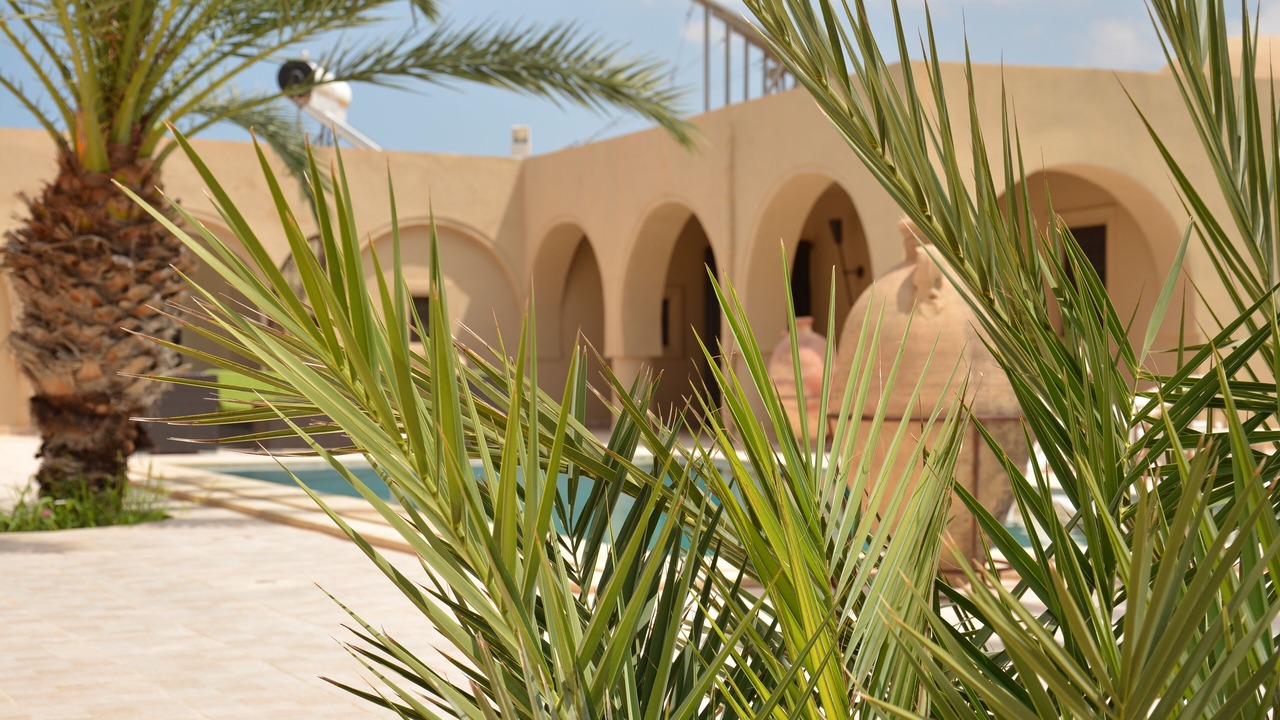 Photo of Outdoor in Mellita