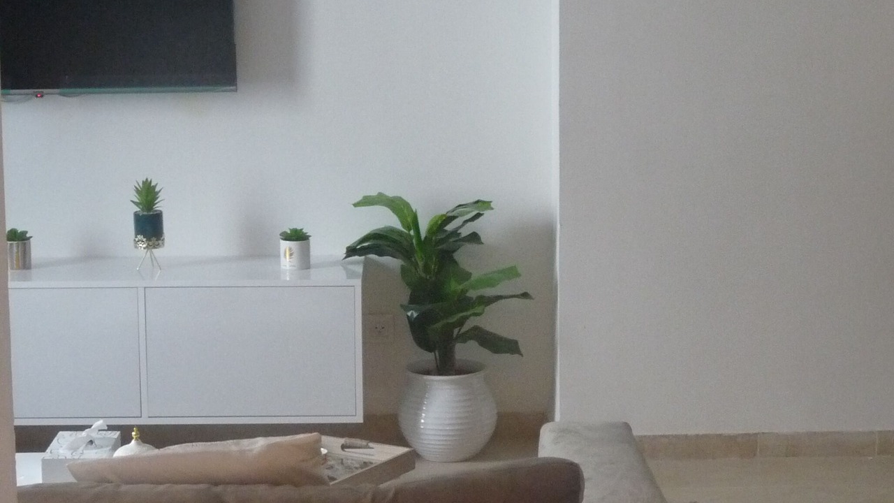 Photo of Livingroom in Ain Zaghouen Nord