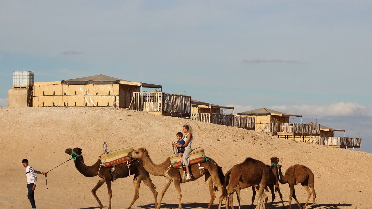 Photo of Others in Sidi Badhaj