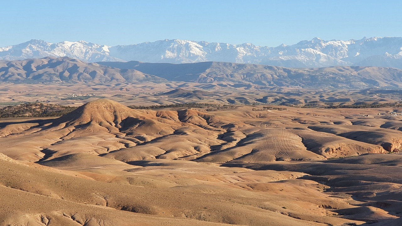 Photo of Others in Sidi Badhaj