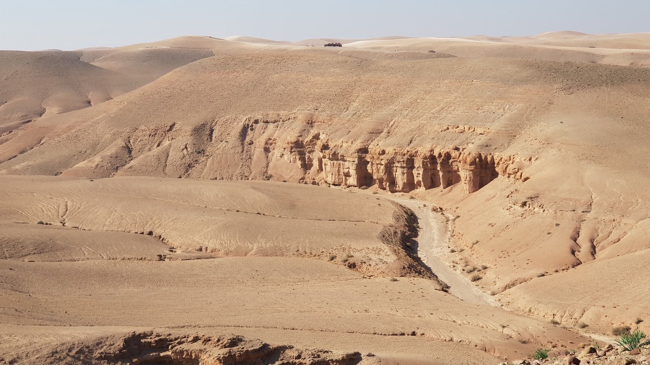 Photo of Others in Sidi Badhaj
