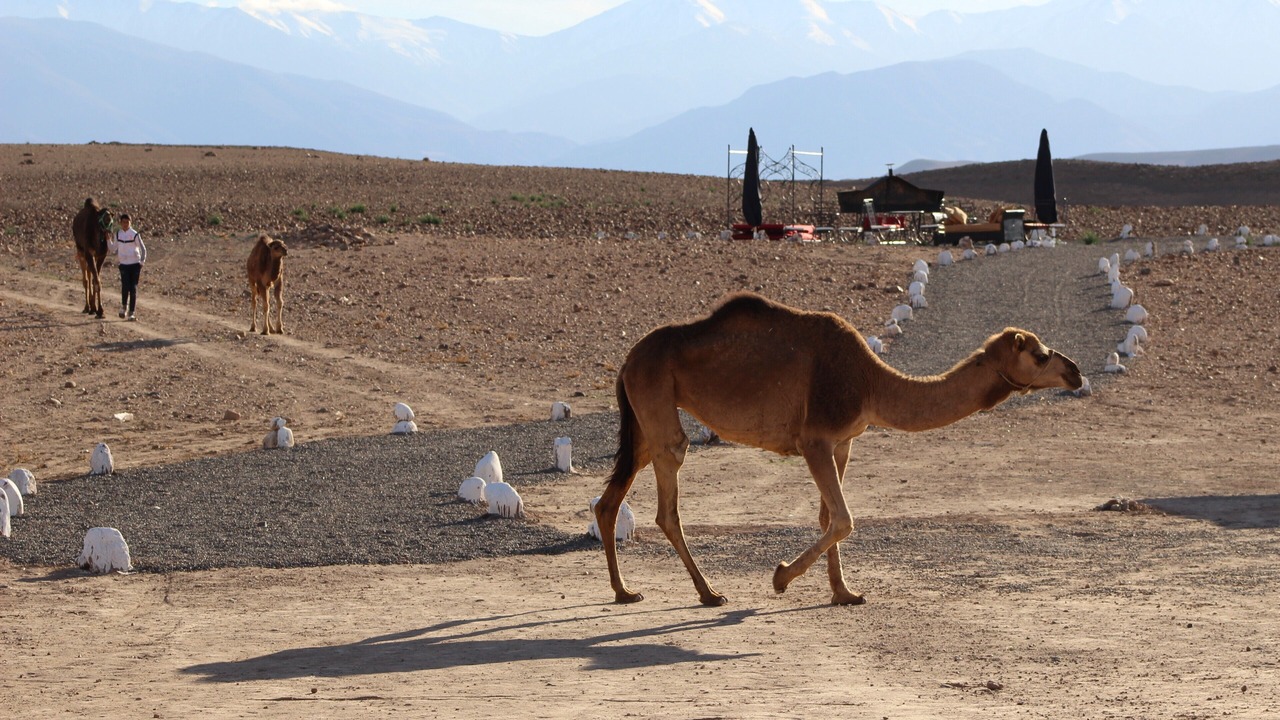 Photo of Outdoor in Sidi Badhaj