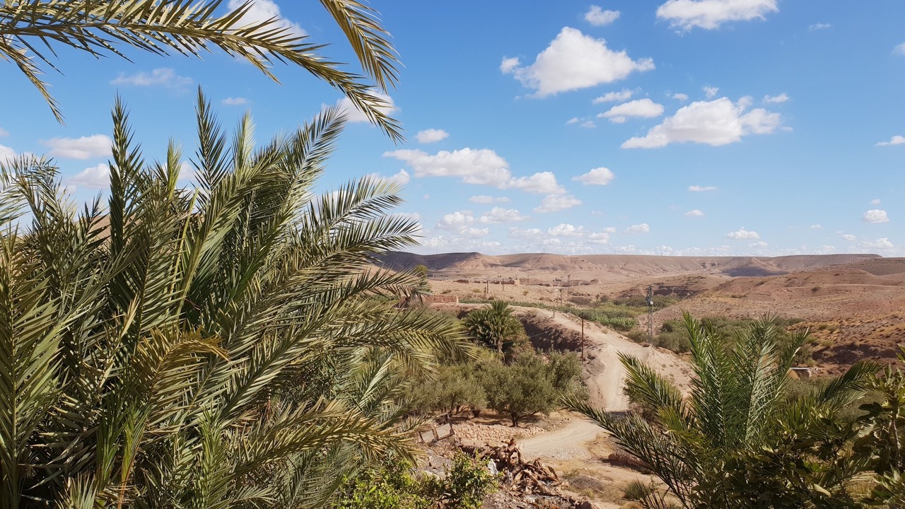 Photo of Outdoor in Sidi Badhaj