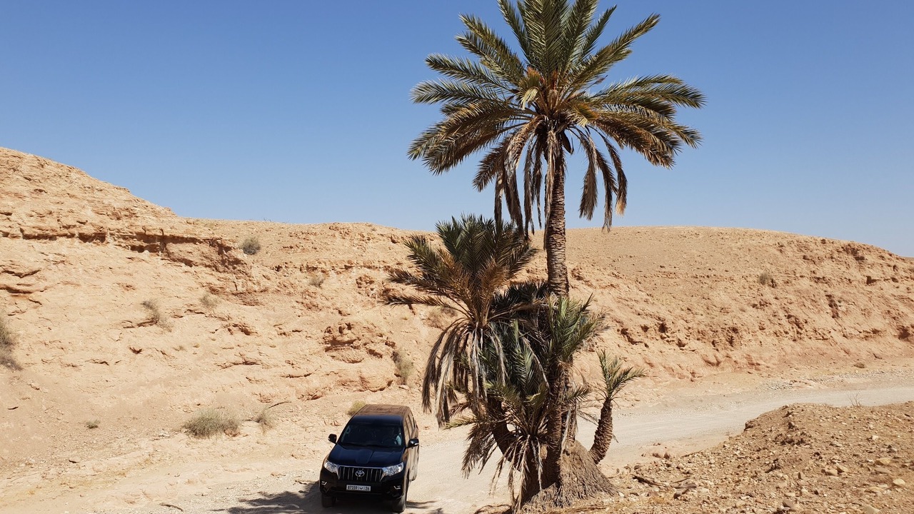 Photo of Others in Sidi Badhaj