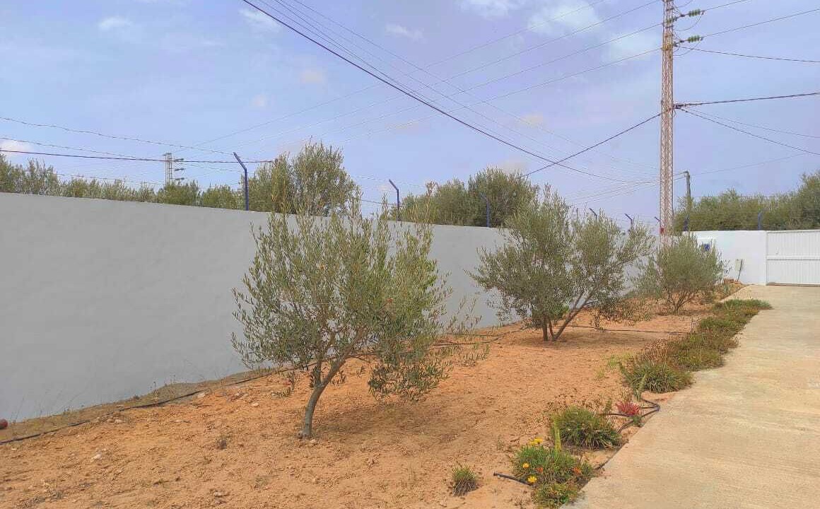 Photo of Outdoor in Djerba Midun