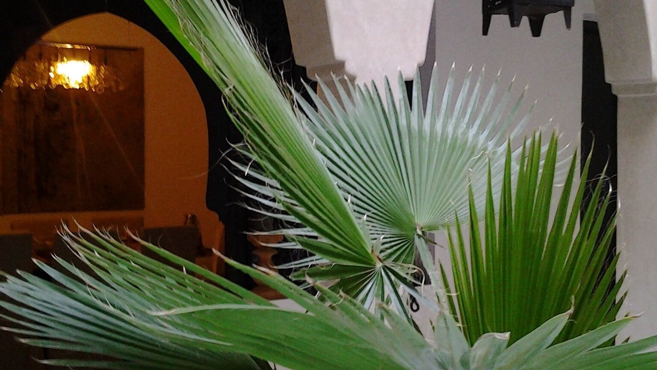 Photo of Outdoor in Menara